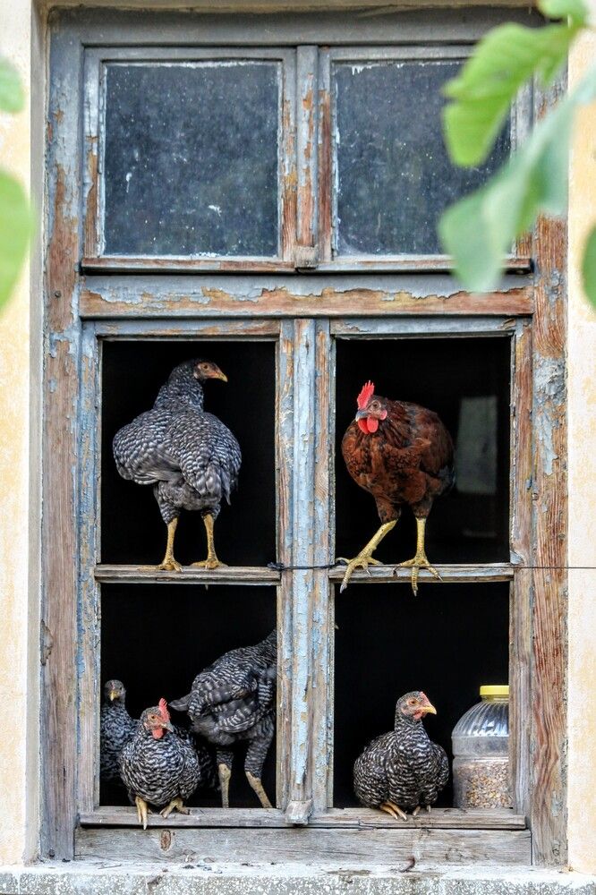 Photograph by volkan akan