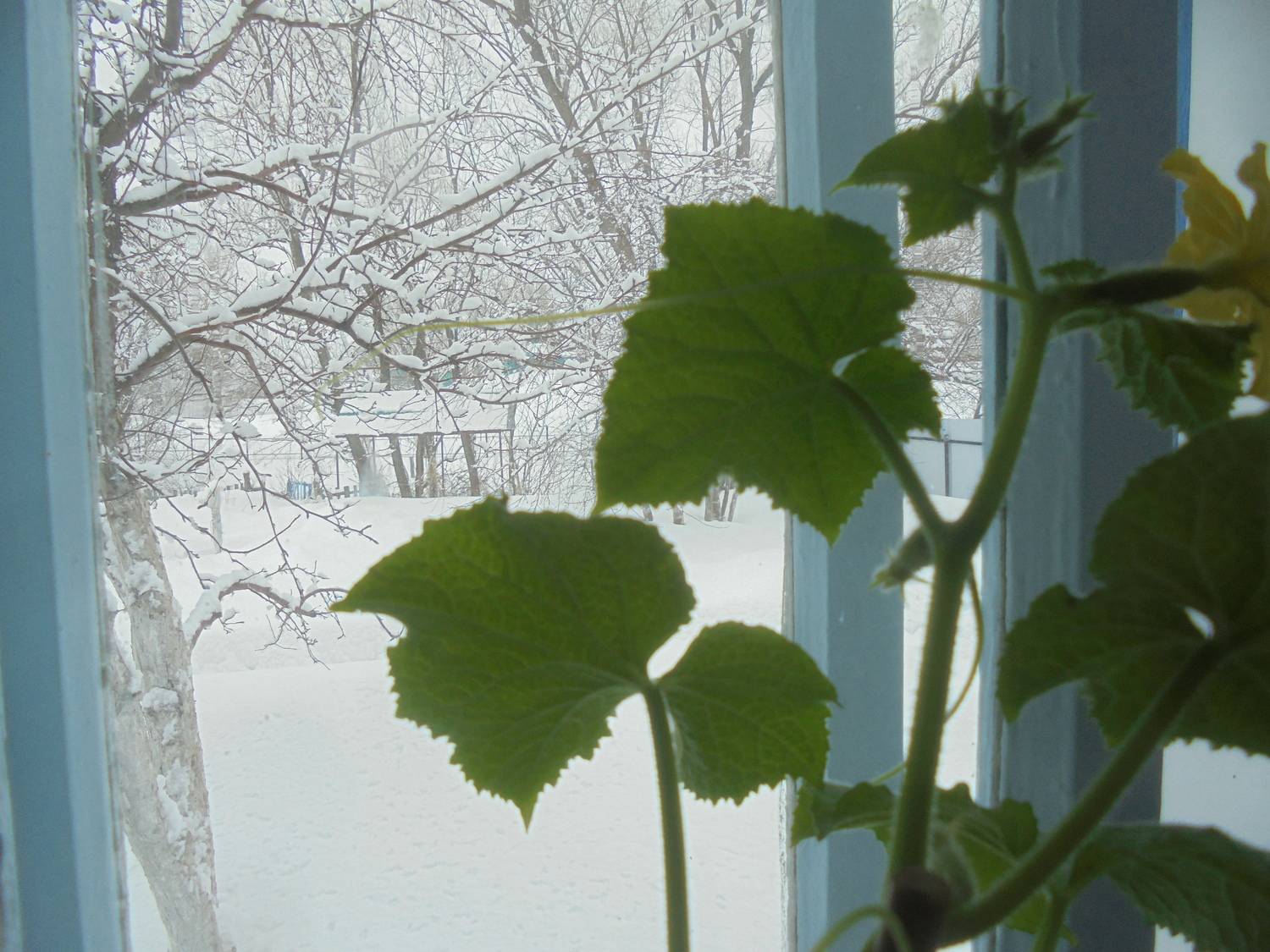 Photo #13534275