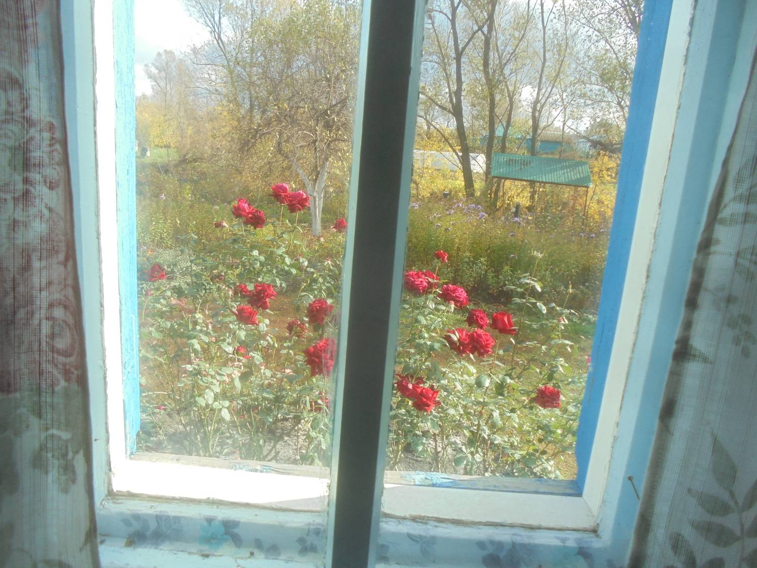 Photo #13534276