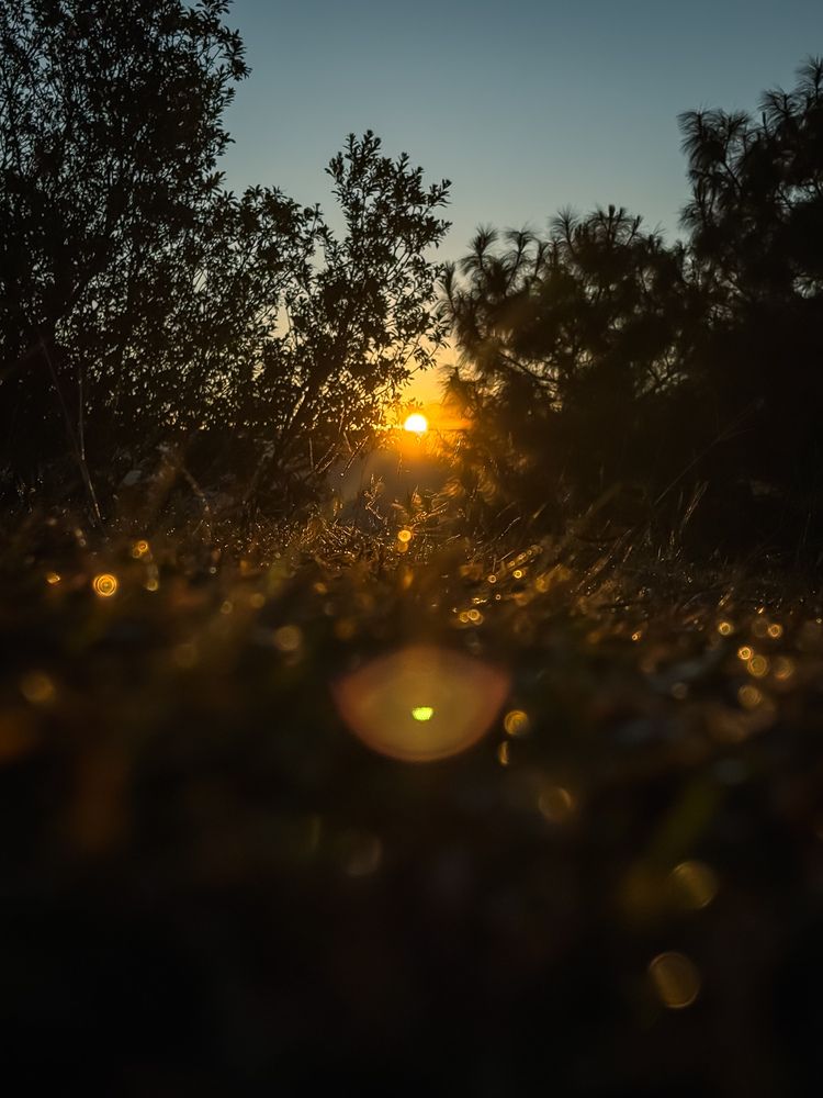 Sunrise through my lens