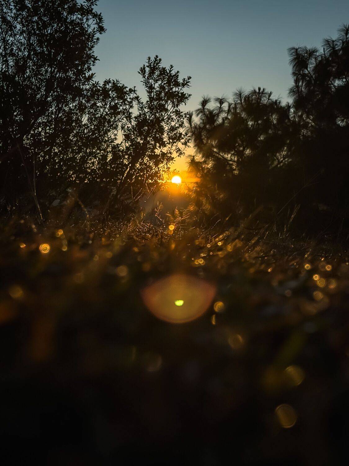 Sunrise through my lens