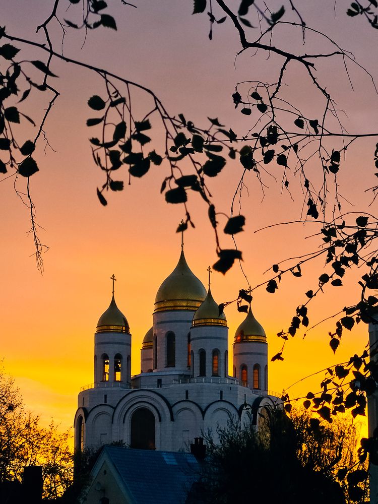 Фотография автора Кристина Альшанская