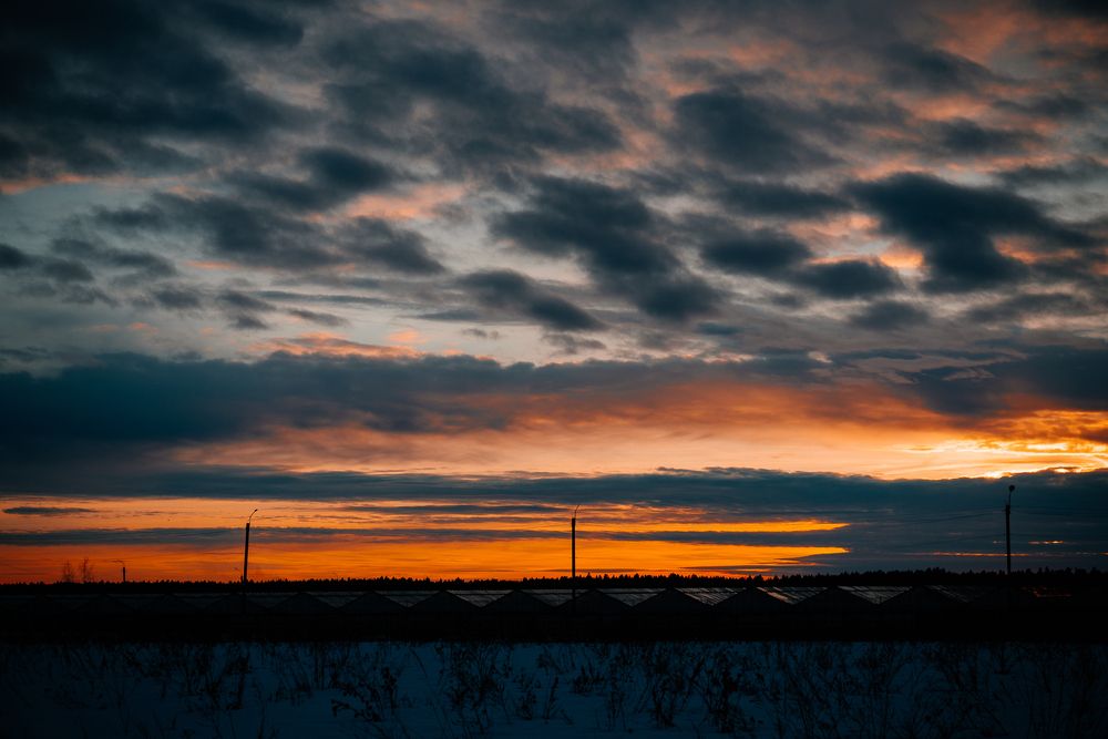 Photograph by Натали Захарова (Тай)