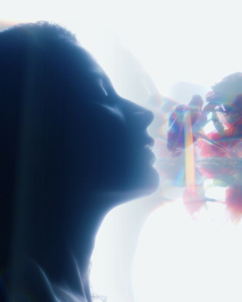 Refracted Bloom