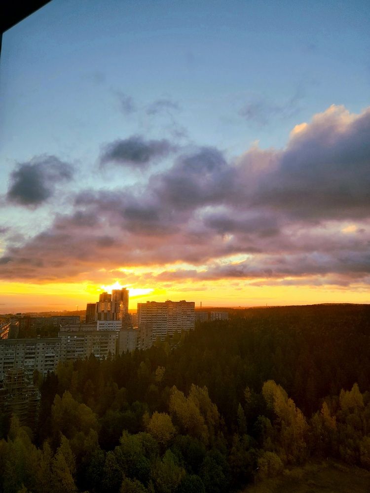 Фотография автора Елизавета Ермолина
