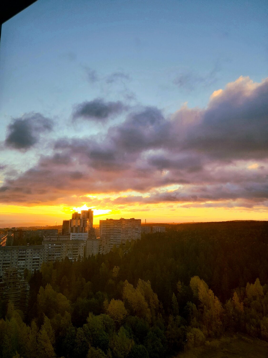 Photo #13534454