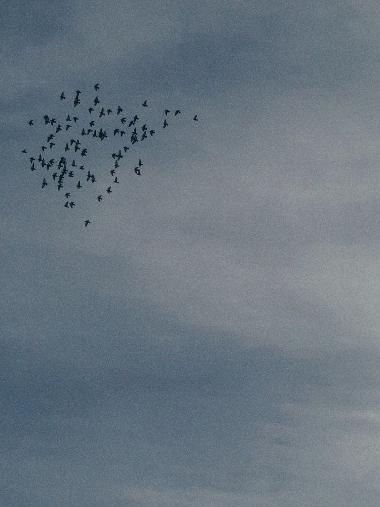 Photograph by Александра Бусарова