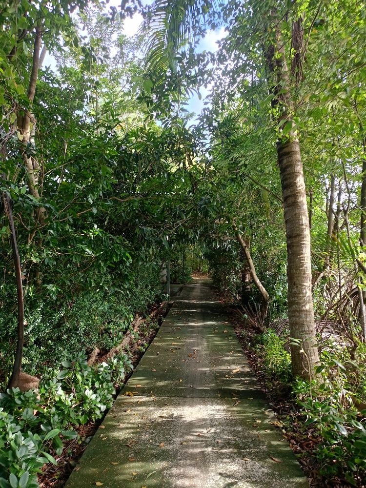 Nature