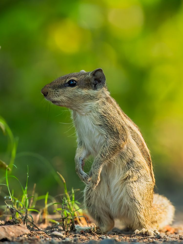 Photograph by Abhishek Pradhan