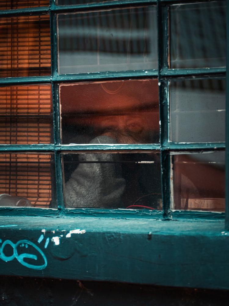 Фотография автора Camilo Rojas