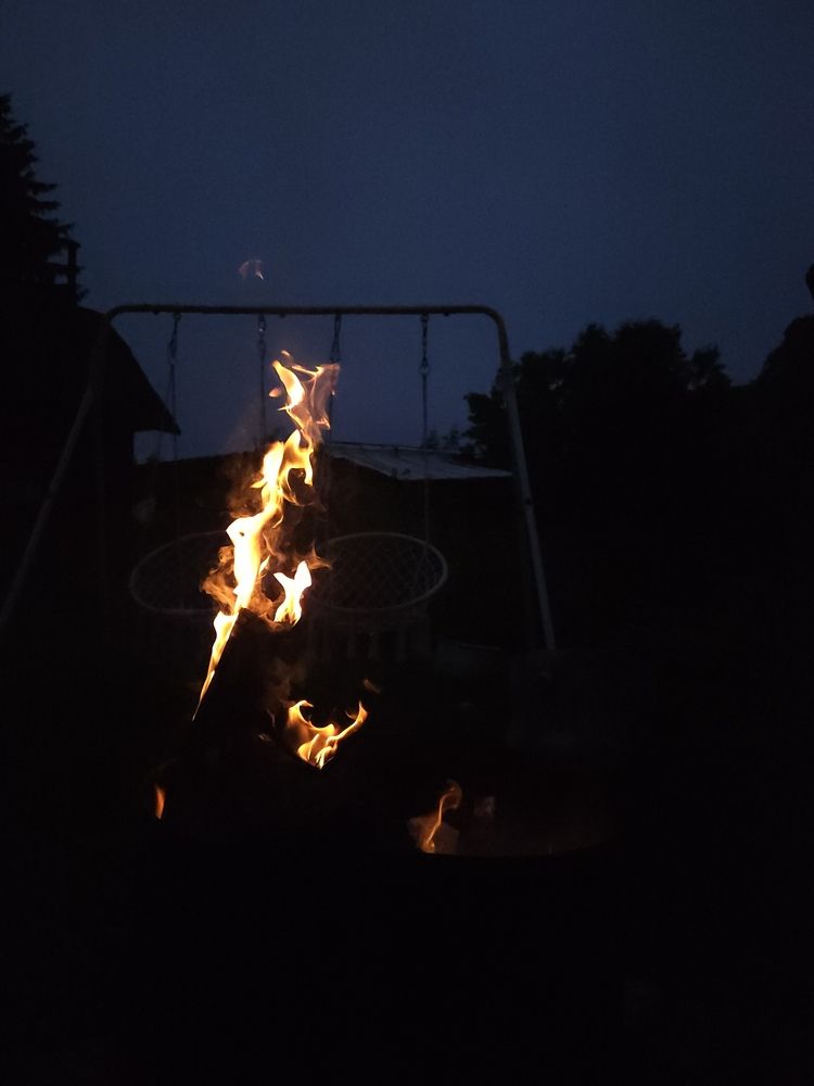 Photo #13534671