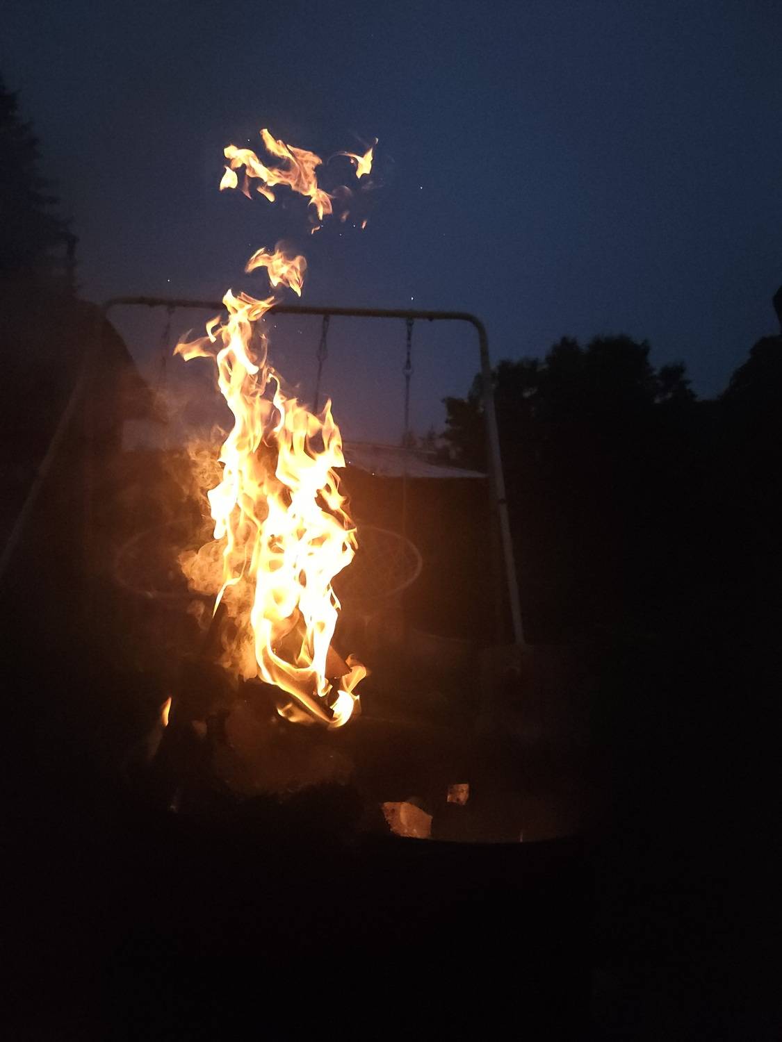Photo #13534672