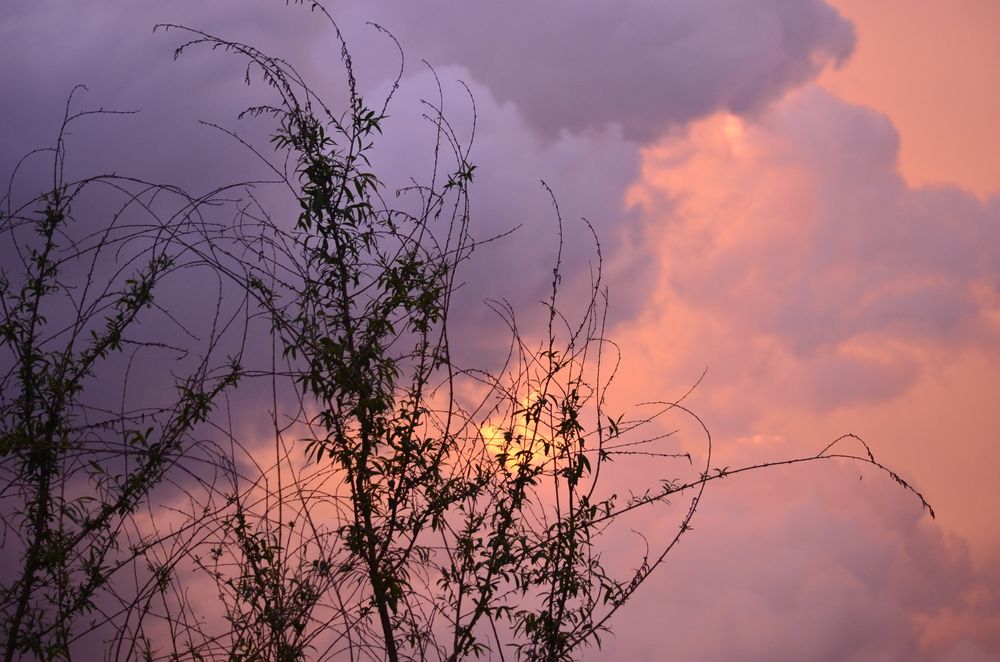 Photograph by Ольга Булавкина