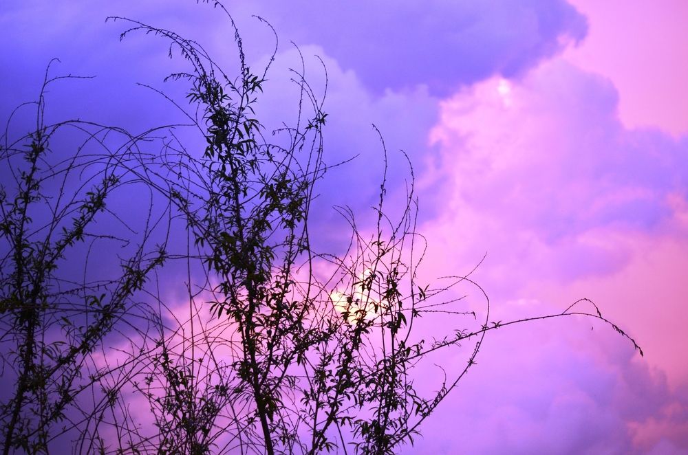 Photograph by Ольга Булавкина