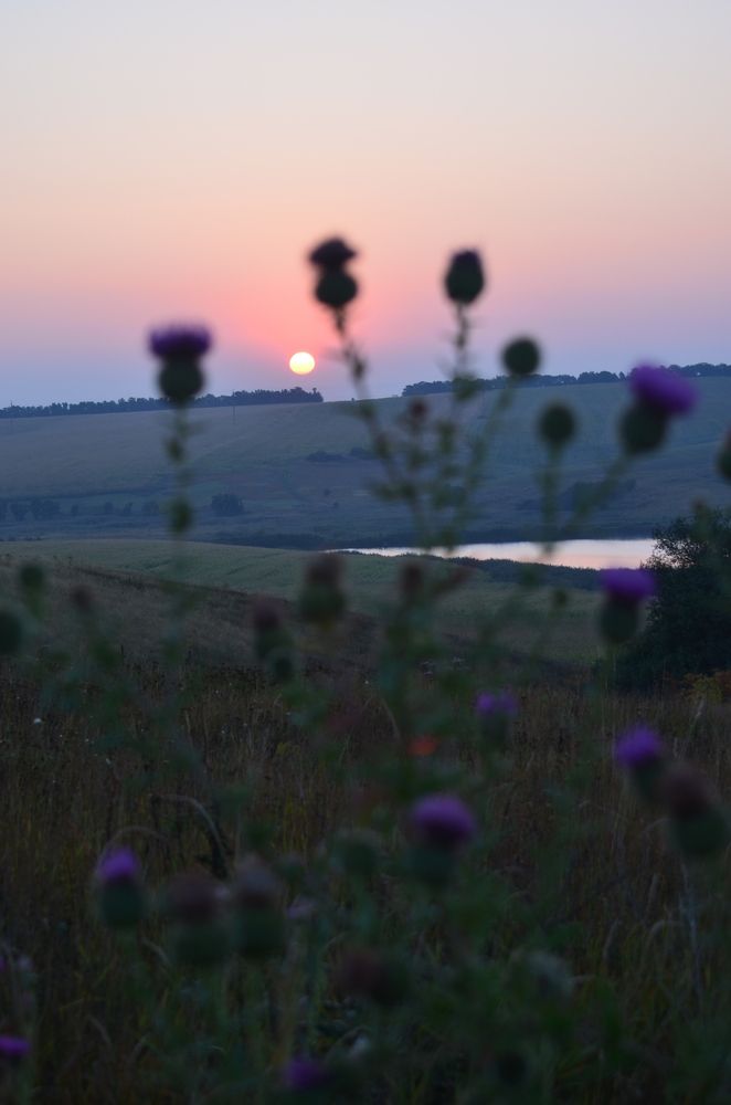 Photograph by Ольга Булавкина