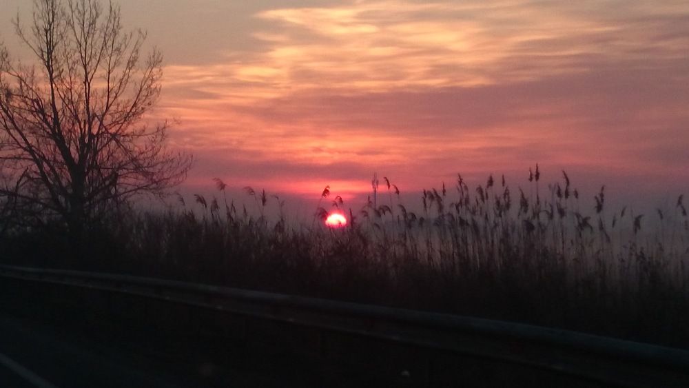 Photograph by Ольга Булавкина