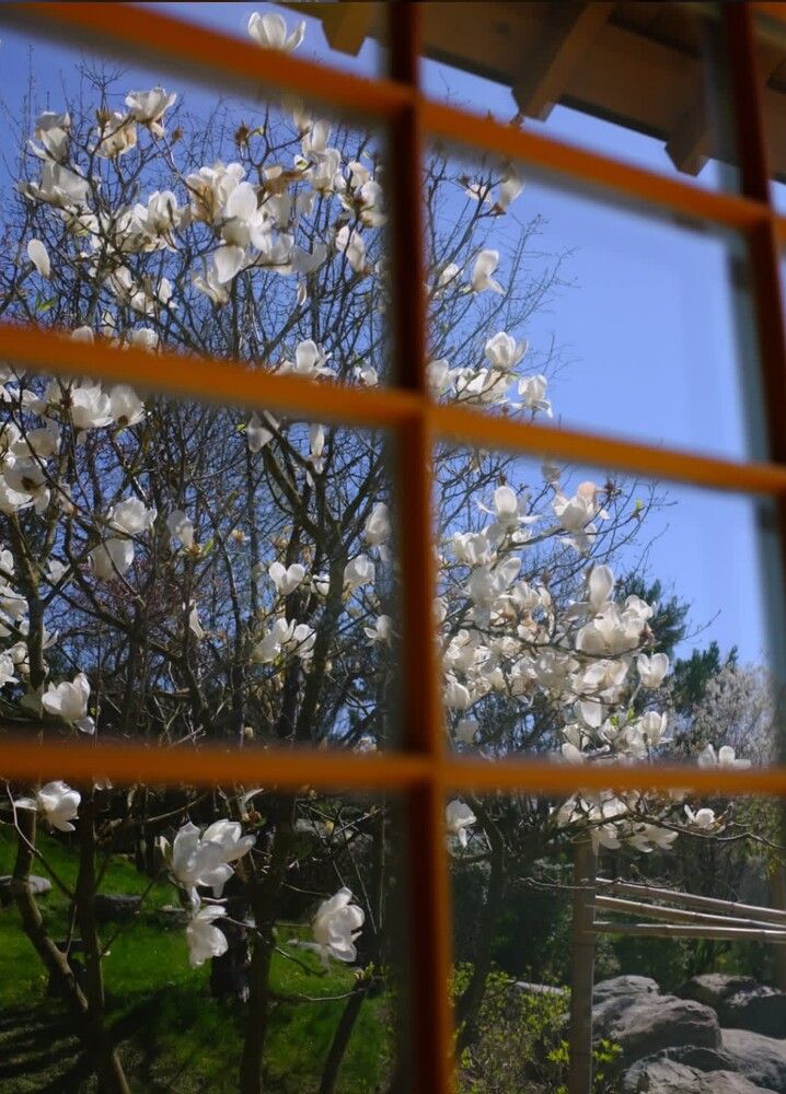 Photograph by Алла Узкая
