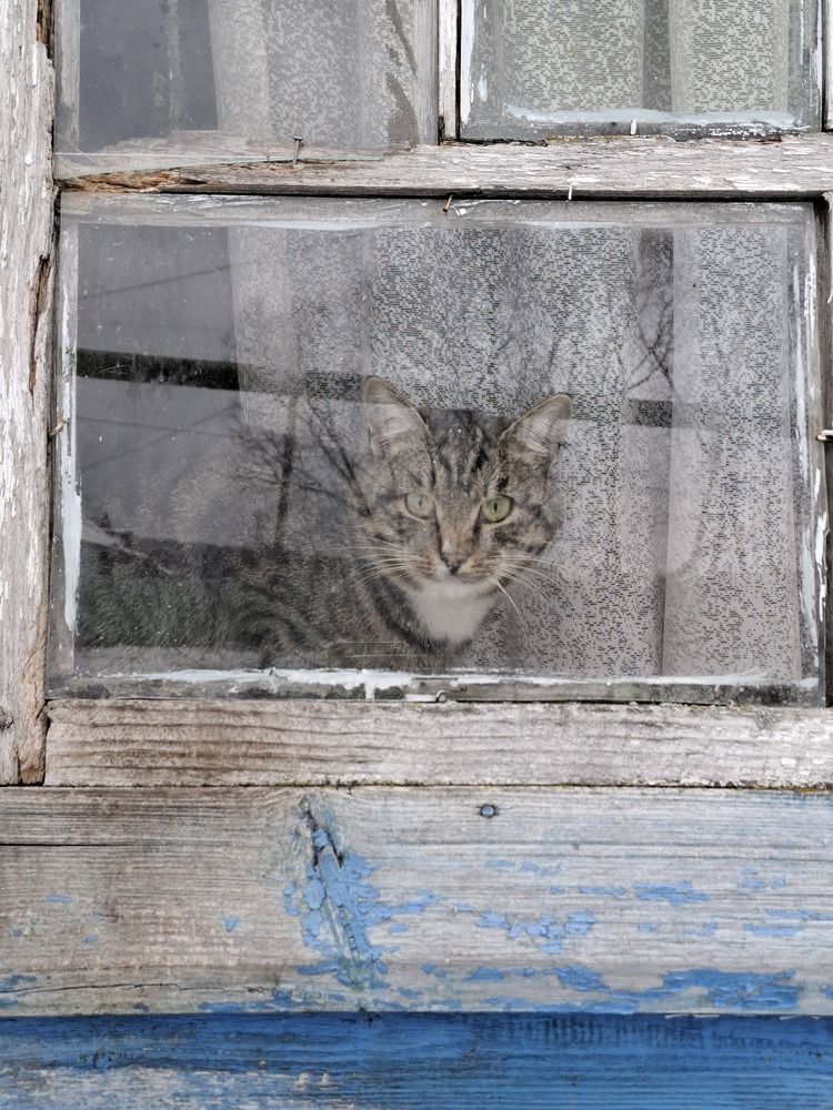 Photograph by Катерина Солдатова