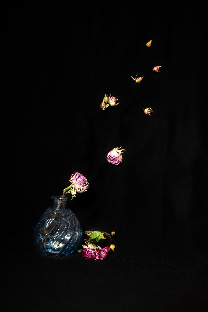 Photograph by Elena Savchuk
