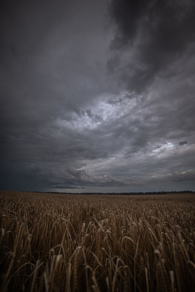 Photograph by Маслов Макс