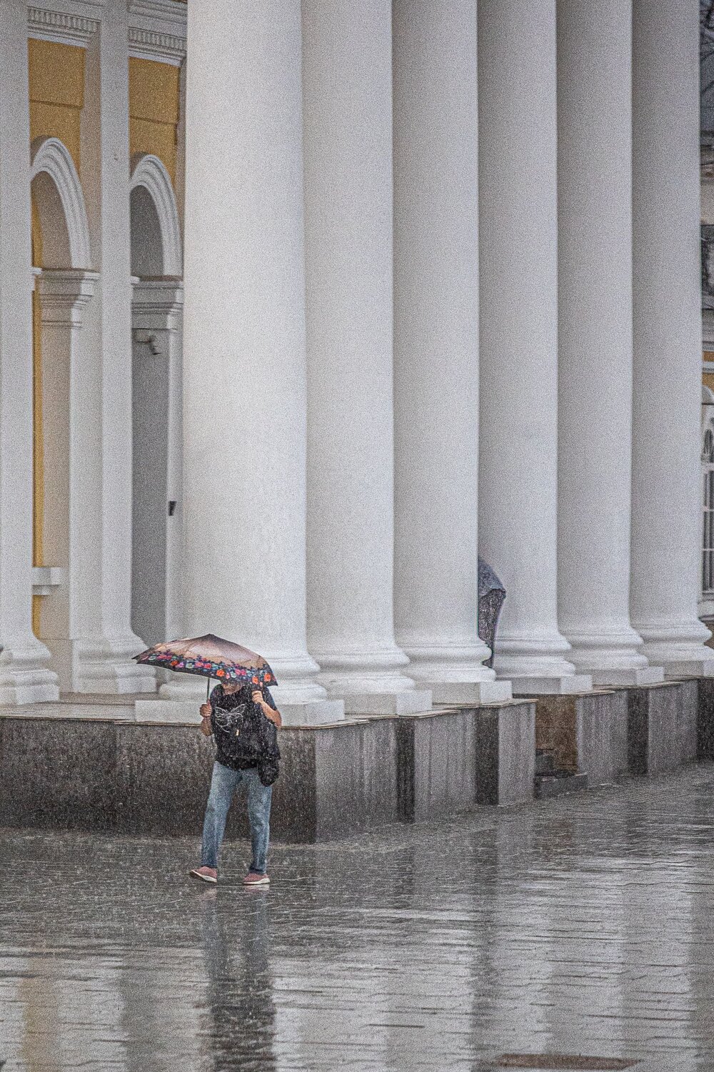 Photo #13535179