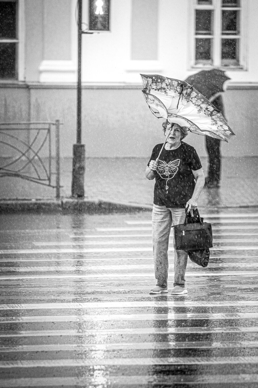 Photo #13535180