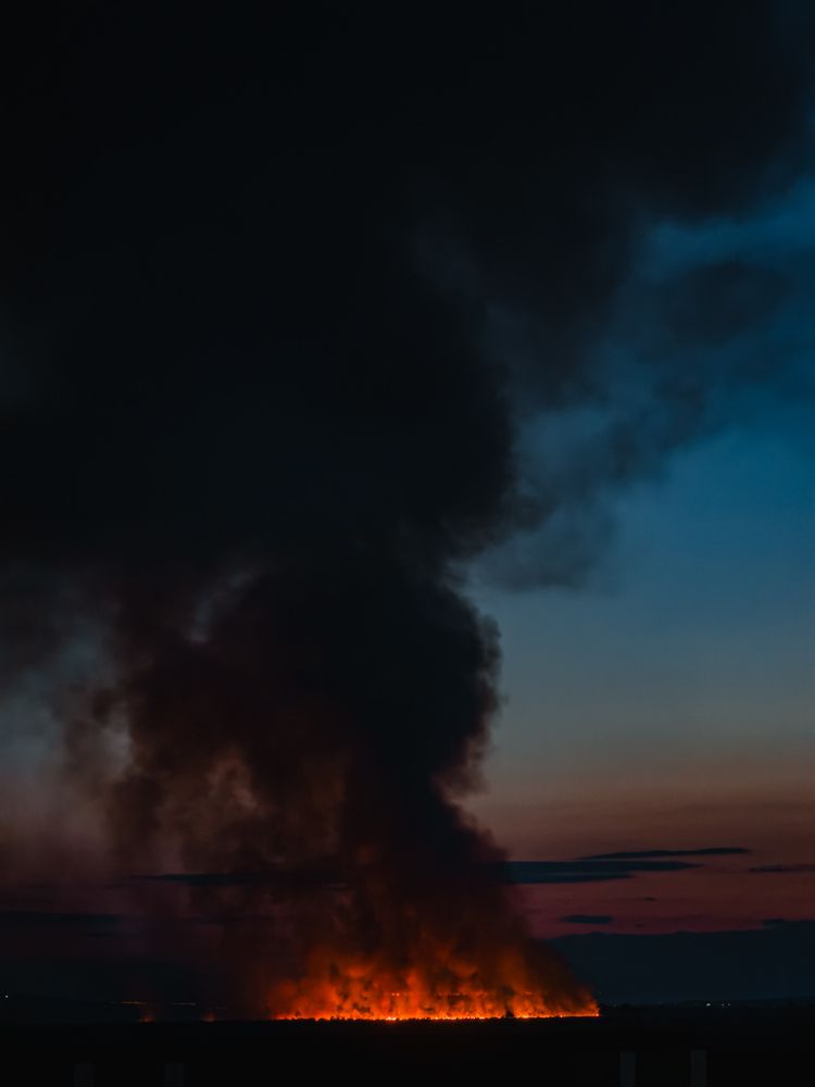 Photograph by Анна Голубцова