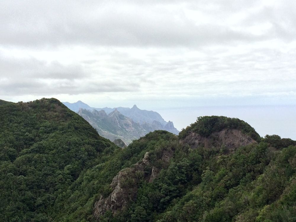 Dreamy mountains