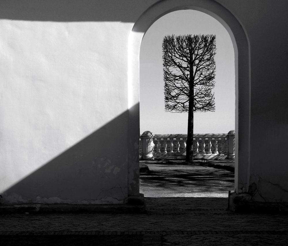Photograph by Сергей Григорьев