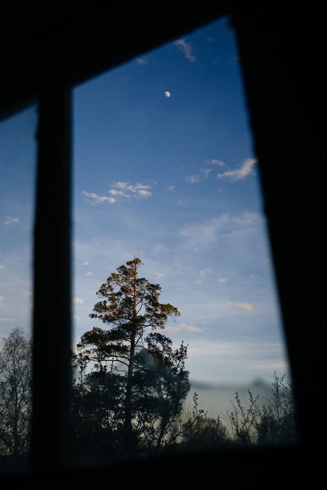 Photograph by Anton Ry