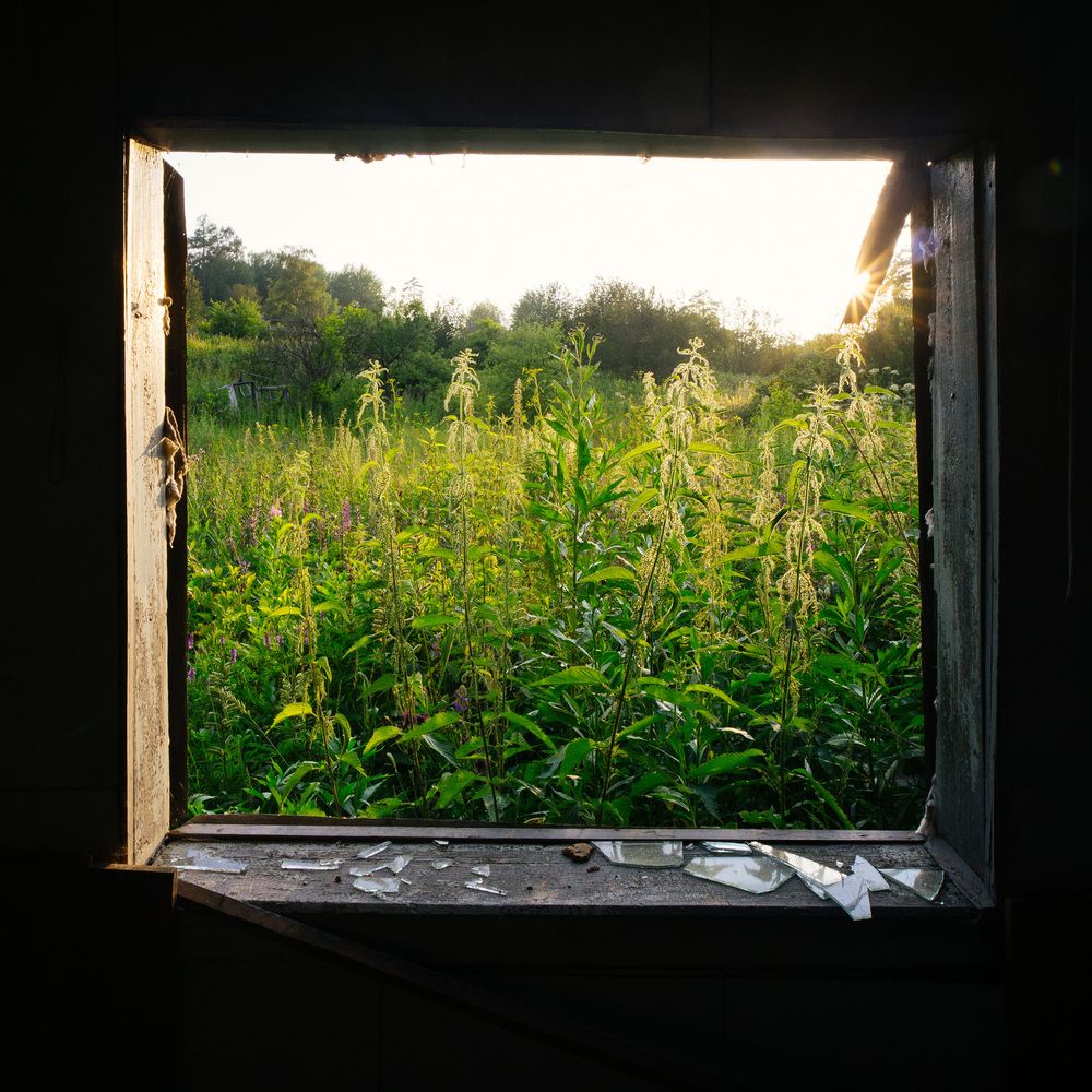 Photograph by Anton Ry
