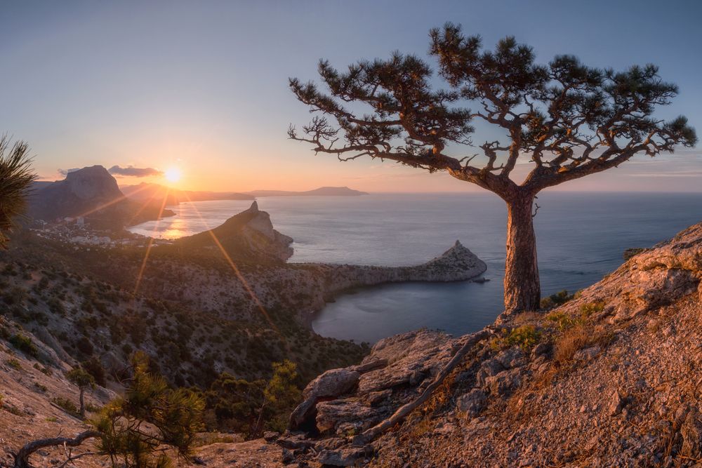 Фотография автора Дмитренко Екатерина