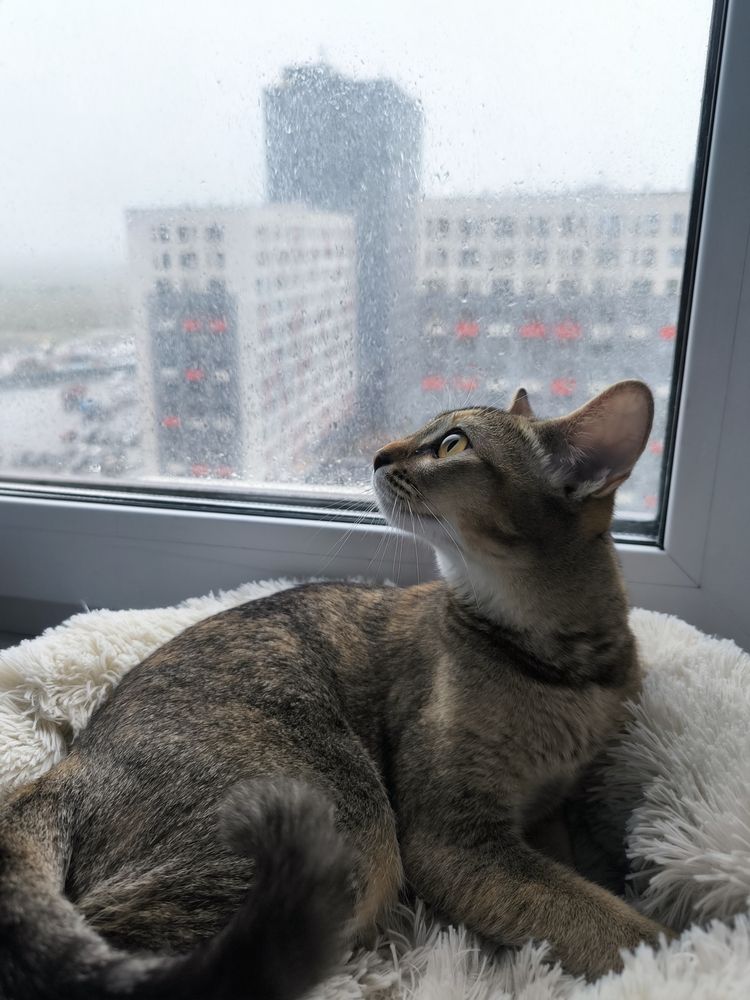 Photograph by Ольга Денисова