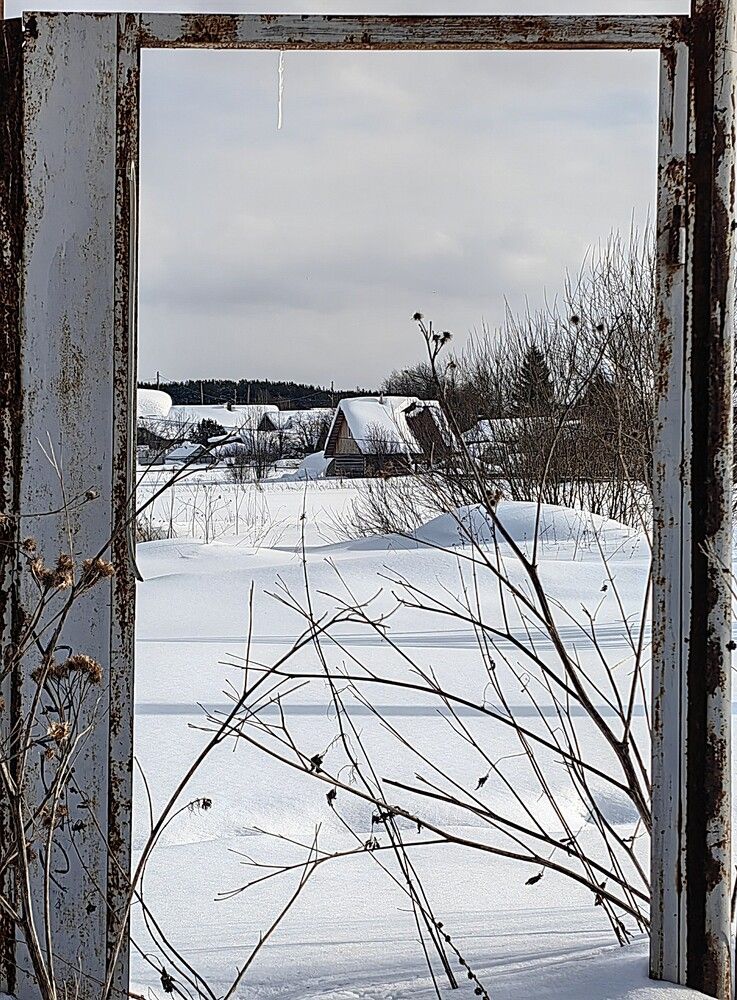 Photograph by Чкареули Светлана