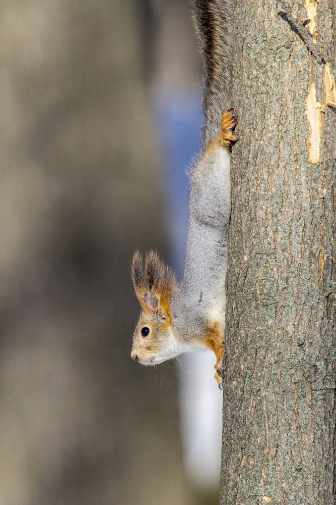 Photo #13535414