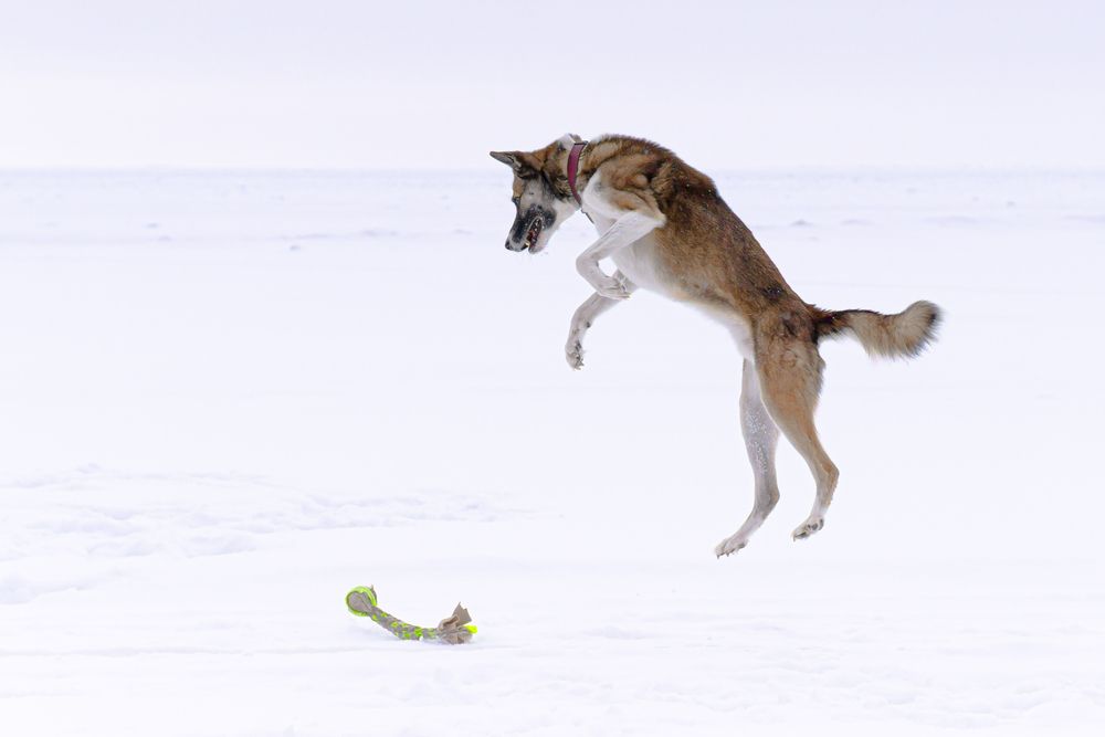 Photograph by Александра Раева