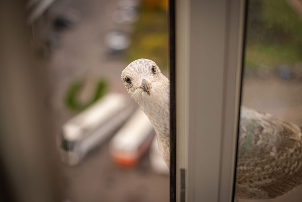 Photograph by Igor Bekagaev