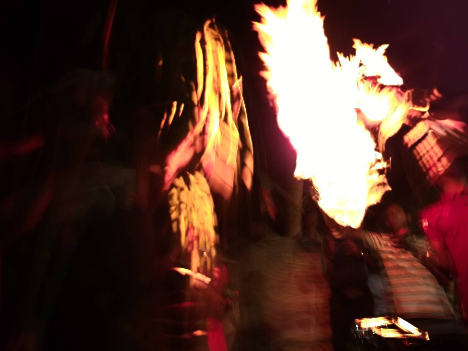 Photo #13535683