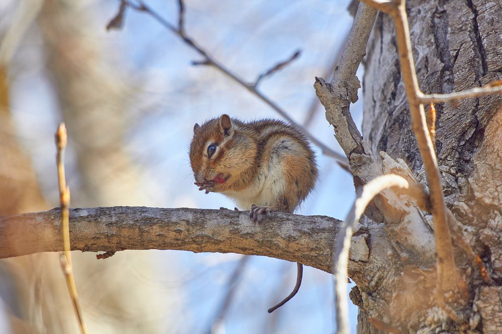 Photograph by Наталия Мащенко