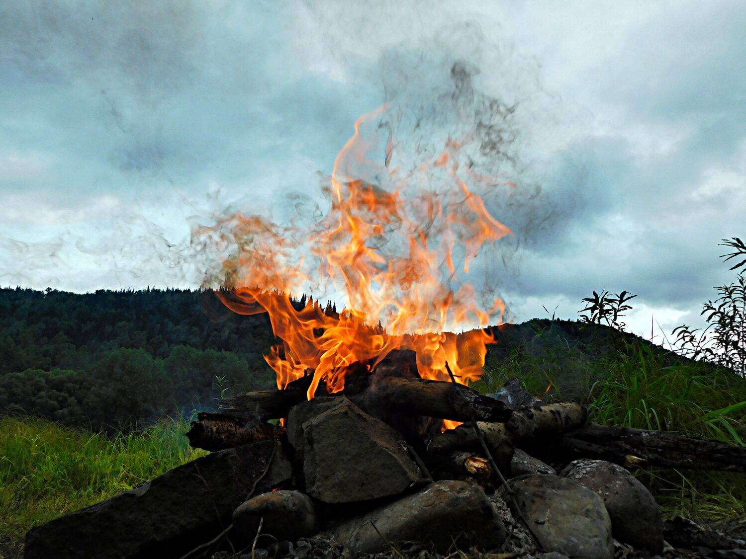 Photo #13535945