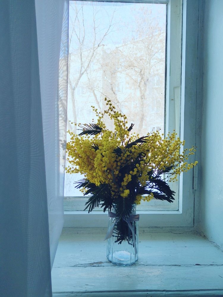 Photograph by Алёна Кибичеева