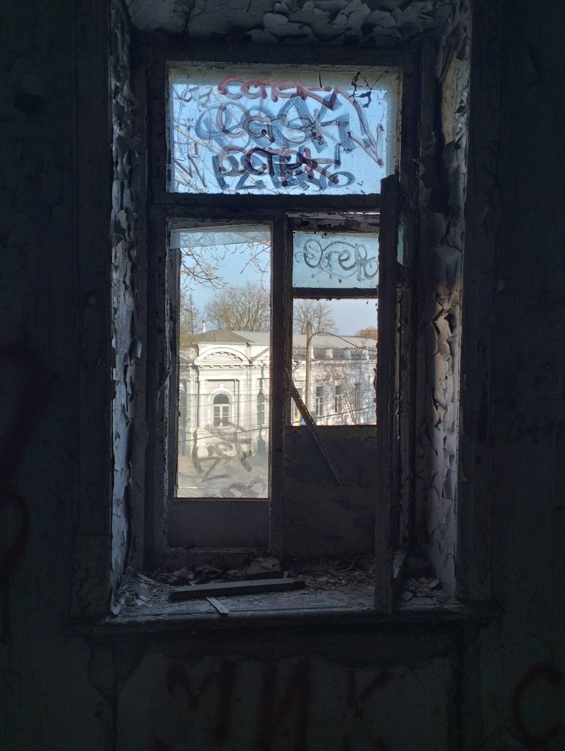 Photo #13536053