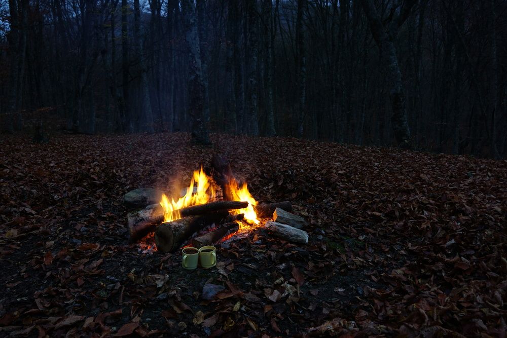 Photograph by света хлевненко