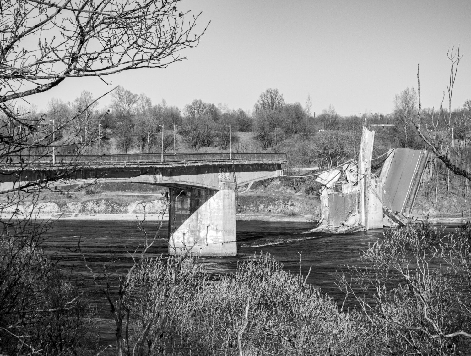 Photo #13536104