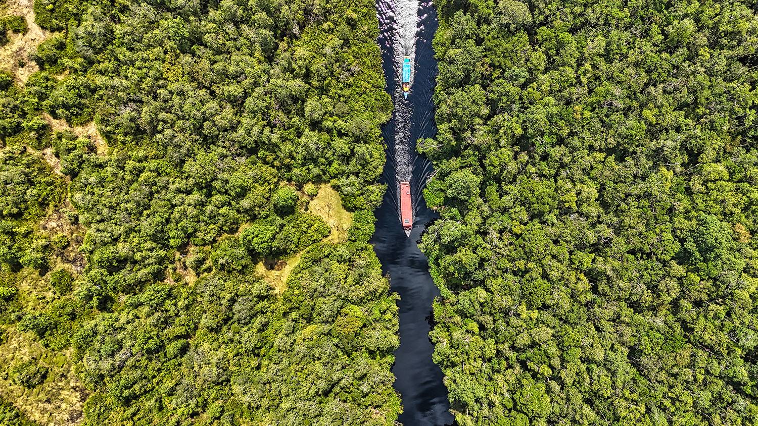Into the Dark Veins of Borneo