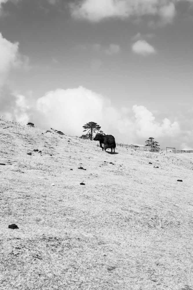 Photograph by Bharat Sonawane