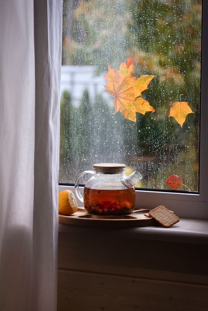 Photograph by Наталья Сергеева