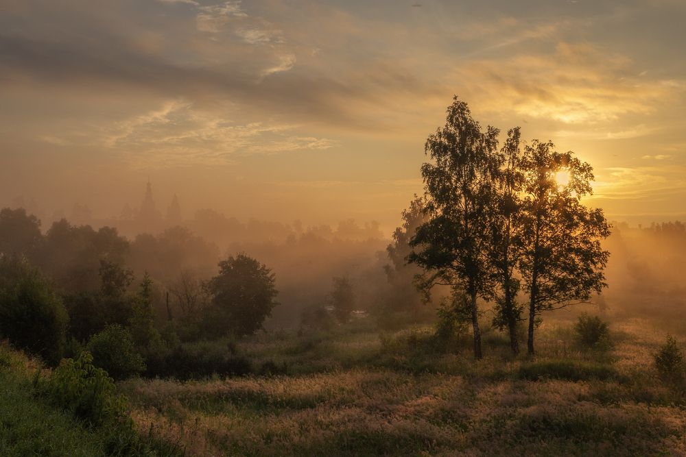 Photograph by Елена Гусева