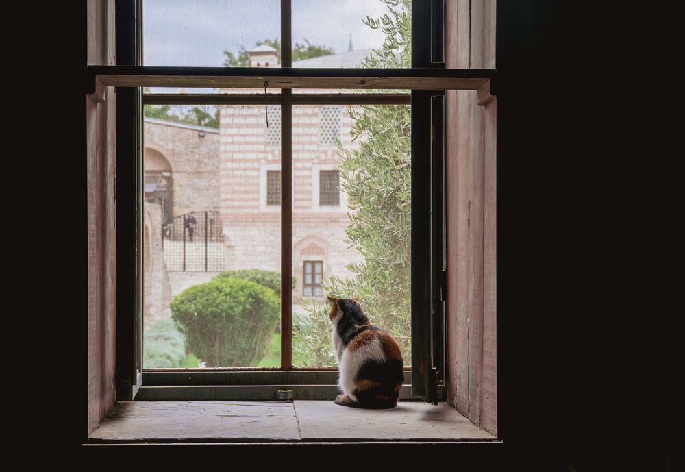 Photograph by Agita Leimane