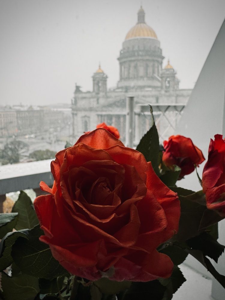 Photograph by Марина Сальникова